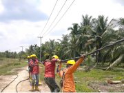 Negara Hadirkan Listrik Lewat PLN, Industri Perikanan Warga Desa Perajen Jaya di Sumsel Tumbuh Pesat