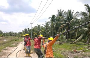 Negara Hadirkan Listrik Lewat PLN, Industri Perikanan Warga Desa Perajen Jaya di Sumsel Tumbuh Pesat