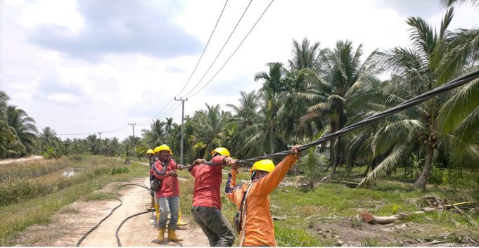 Negara Hadirkan Listrik Lewat PLN, Industri Perikanan Warga Desa Perajen Jaya di Sumsel Tumbuh Pesat