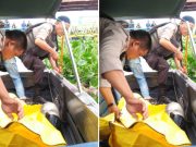Warga Geger, Temukan Sesosok Mayat Mr X Ngambang di Bawah Jembatan Ampera