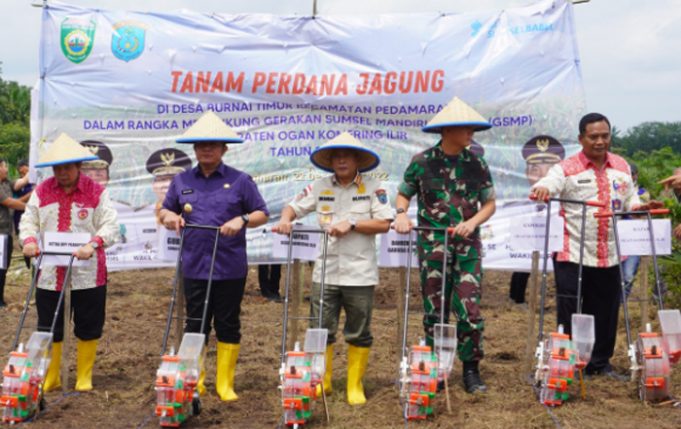 OKI Jadi Kawasan Pengembangan Jagung Berbasis Korporasi Petani