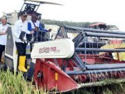 Panen Raya Melimpah, Wabup OKI Minta Kawal Harga Beras dan Gabah Stabil