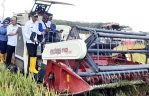 Panen Raya Melimpah, Wabup OKI Minta Kawal Harga Beras dan Gabah Stabil