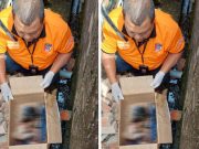 Warga Palembang Geger, Temukan Mayat Bayi Perempuan