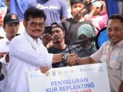 OKI Jadi Daerah Peremajaan Kelapa Sawit Rakyat Terluas di Indonesia