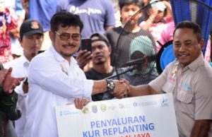 OKI Jadi Daerah Peremajaan Kelapa Sawit Rakyat Terluas di Indonesia