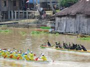 Serunya Lomba Kebut Perahu Berhadiah Sapi dan Kerbau di Sungai Babatan Pedamaran