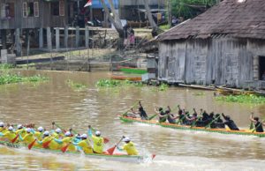 Serunya Lomba Kebut Perahu Berhadiah Sapi dan Kerbau di Sungai Babatan Pedamaran