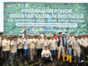 Areal Gambut di OKI Ditanami Pohon pada Peringatan Hari Lahan Basah Sedunia