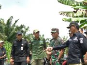 65 Ribu Hektare Lahan Rawa di OKI Dioptimasi