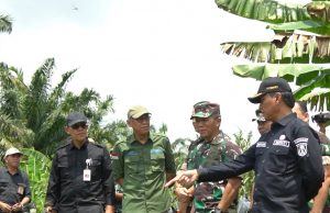 65 Ribu Hektare Lahan Rawa di OKI Dioptimasi