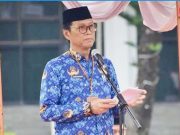 OKI Fokus Angkat Tenaga Honorer Jadi P3K .