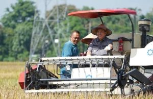 Pj. Bupati Muara Enim hadiri Panen Raya Padi Ataran Ulak Himbe