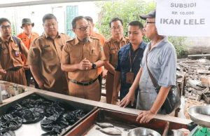 Operasi Pasar Murah 2 Hari Berturut-turut di Pasar Inpres, Warga Riang Belanja Sembako Murah