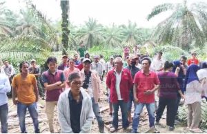 Warga Sodong di Teror Tembakan Saat Pergoki Pekerja Perusahaan SWA