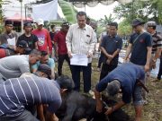 Bersinergi, Pengurus PCM Kota Kayuagung dengan Masyarakat Sekitar Sukseskan Acara Penyembelihan Hewan Qurban