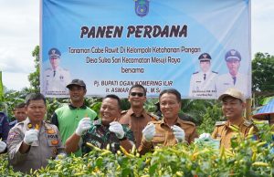 Panen Raya Cabe di OKI Berhasil Tekan Angka Inflasi
