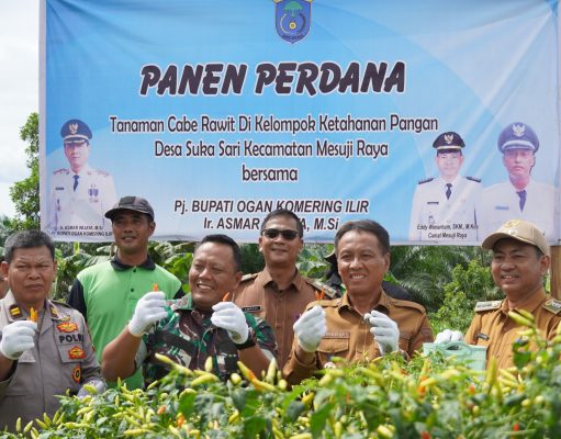 Panen Raya Cabe di OKI Berhasil Tekan Angka Inflasi