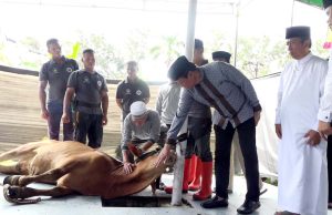 Pj. Bupati Ogan Komering Ilir Ir. Asmar Wijaya, M.Si Menyaksikan Langsung Pelaksanaan Penyembelihan Hewan Qurban Di Masjid Agung Sholihin Kayuagung.
