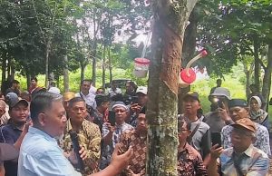 Teknologi Infus Biotech Ini Memiliki Potensi Besar dan Memberikan Dampak Positif Yang Luar Biasa, untuk Membangkitkan Semangat Petani Karet di Kabupaten Ogan Komering Ilir.