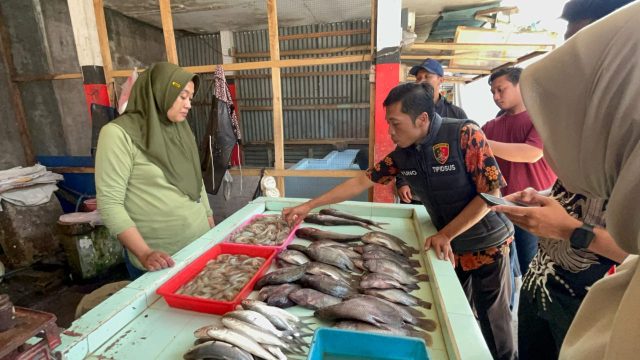 WhatsApp Image 2025-02-14 at 19.33.29(1)