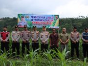 Kapolres Pidie Jaya Dukung Swasembada Pangan, Tinjau Lahan Jagung & Panen Terong Bersama Petani