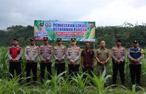 Kapolres Pidie Jaya Dukung Swasembada Pangan, Tinjau Lahan Jagung & Panen Terong Bersama Petani