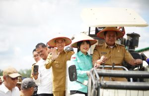 Wakili Sumsel, Petani OKI Panen Raya Serentak Bersama Presiden Secara Virtual