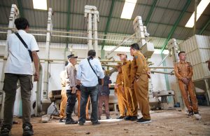 Bupati OKI Minta Bulog Serap Gabah Petani Sesuai HPP: “Kami Siap Sediakan Gudang Tambahan”