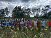 Panen Raya Jagung di Pulau Semambu, Bripka Nepri Aswiwin Tegaskan Dukungan Polri terhadap Ketahanan Pangan