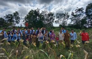 Panen Raya Jagung di Pulau Semambu, Bripka Nepri Aswiwin Tegaskan Dukungan Polri terhadap Ketahanan Pangan