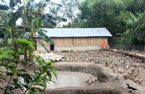 Bukit Asam Dorong Kemandirian Ekonomi Warga Ring 1 Lewat Budidaya Itik Petelur di Muara Enim