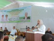 Kartika Sandra Desi Turun ke Warga Kertapati Dampingi Beri Bantuan Beras, Camat Kertapati: Ini Bentuk Kepedulian Nyata