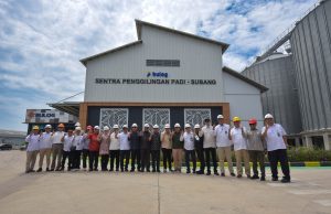 Komisi IV DPR RI Soroti Kualitas Beras Premium: Standar Mutu Harus Tegas Agar Petani Tak Dirugikan