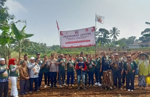 Dorong Ketahanan Pangan Nasional, HMTN-MP Tanam Perdana Jagung Hibrida di Sukabumi