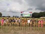 Perkuat Ketahanan Pangan, Forkopimda Blitar Panen Raya Jagung Kuartal III