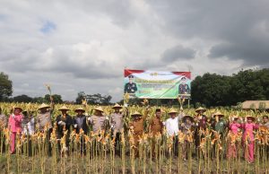 Perkuat Ketahanan Pangan, Forkopimda Blitar Panen Raya Jagung Kuartal III