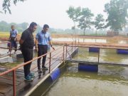 Sinergi TNI AU dan PLN Diperkuat, Lanud SMH Palembang Jadi Contoh Ketahanan Pangan Militer