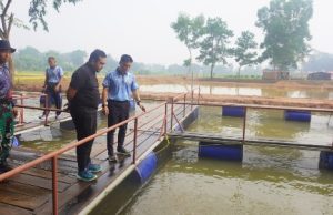 Sinergi TNI AU dan PLN Diperkuat, Lanud SMH Palembang Jadi Contoh Ketahanan Pangan Militer