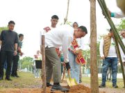 HUT ke-80 Kabupaten OKI: Bupati Muchendi Tanam 300 Pohon Tabebuya, Wujudkan Kota Kayuagung yang Indah dan Hijau