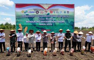 Pemkab OKI Dukung Polda Sumsel Wujudkan Swasembada Pangan Lewat Gerakan Tanam Jagung Serentak