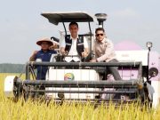 Pemkab OKI Pacu Program Prioritas: Dari Layanan Kesehatan Gratis hingga Swasembada Pangan dan Job Fair untuk Rakyat