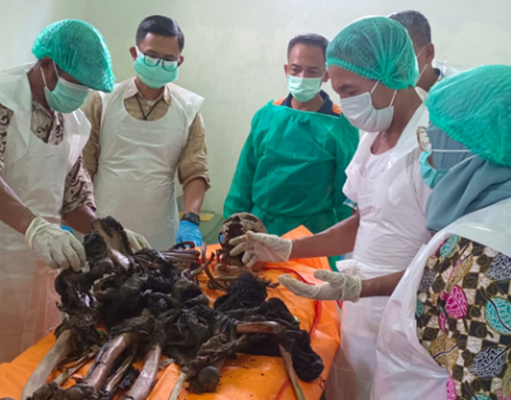 Warga Temukan Tulang Belulang Manusia di Perkebunan Pisang OKU Selatan, Polisi Selidiki Dugaan Tindak Kriminal