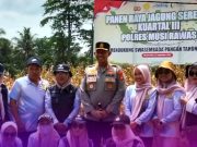 Polres Musi Rawas Gelar Panen Raya Jagung Serentak: Wujud Nyata Dukungan Terhadap Swasembada Pangan 2025