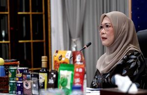 “Feby Deru Masuk 10 Besar Finalis DPD Award 2025, Bukti Kiprah Nyata Majukan Ekonomi Kreatif Sumsel”