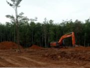 Diduga Tak Kantongi Izin, PT. Kelantan Sakti Tetap Jalankan Aktivitas Galian Tanah di Pampangan OKI