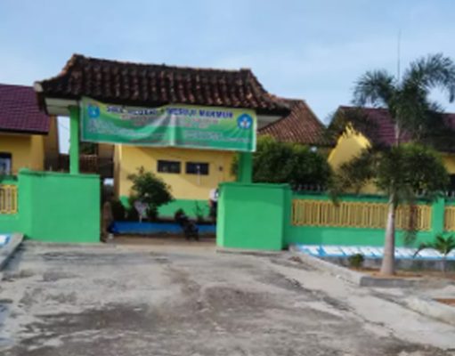 Guru PPPK SMAN 1 Mesuji Makmur Diduga Abai Tugas, Orang Tua Desak Dinas Pendidikan Kab. OKI Bertindak Tegas