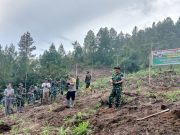 TMMD ke-126 Aceh Tengah: TNI Bersama Forkopimcam Bintang Tanam Pohon, Wujud Nyata Peduli Lingkungan