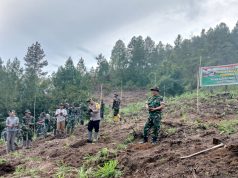 TMMD ke-126 Aceh Tengah: TNI Bersama Forkopimcam Bintang Tanam Pohon, Wujud Nyata Peduli Lingkungan