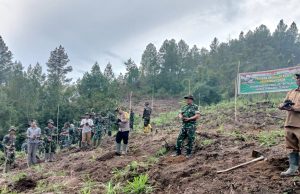 TMMD ke-126 Aceh Tengah: TNI Bersama Forkopimcam Bintang Tanam Pohon, Wujud Nyata Peduli Lingkungan